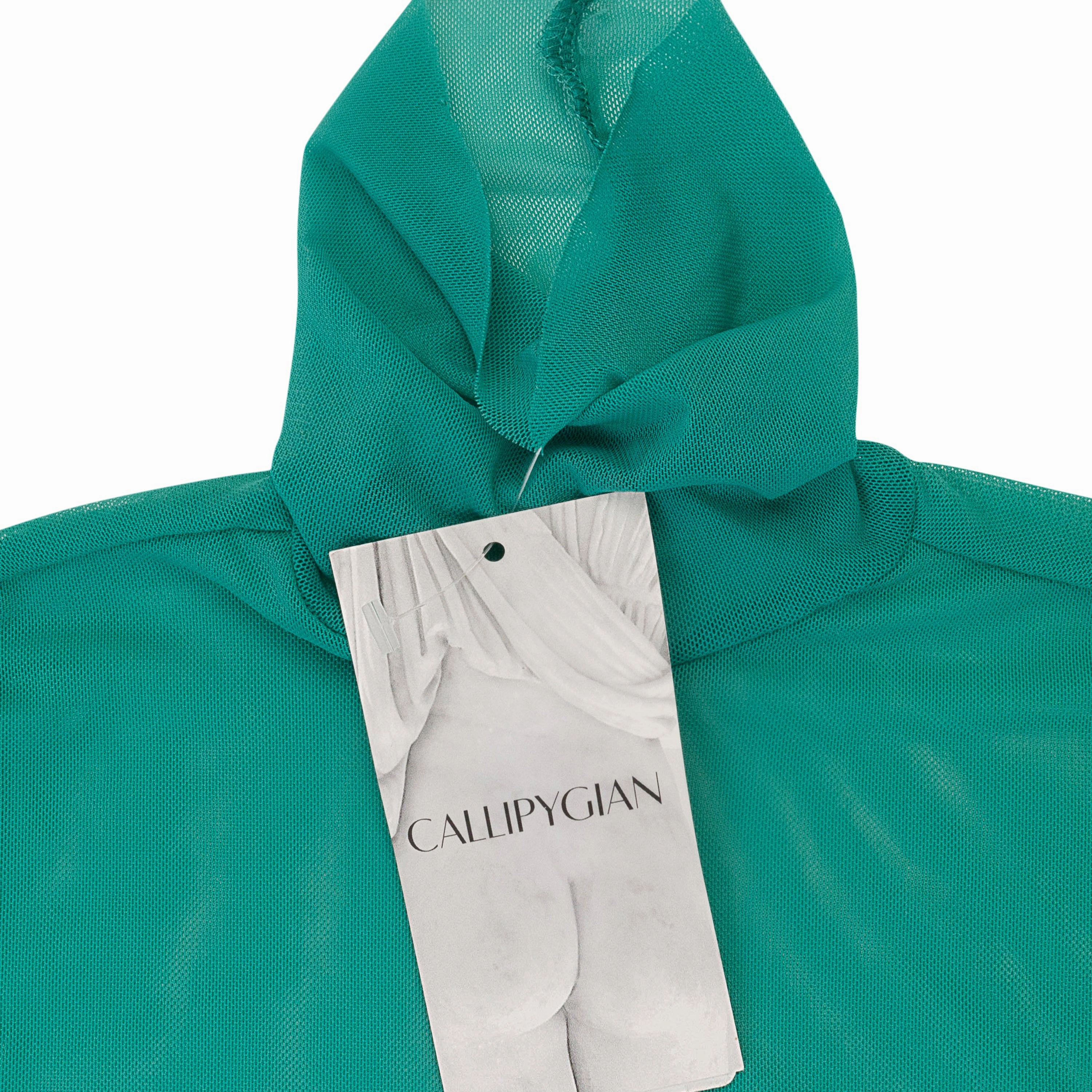 CALLIPYGIAN SOLID MESH JADE GREEN TURTLENECK