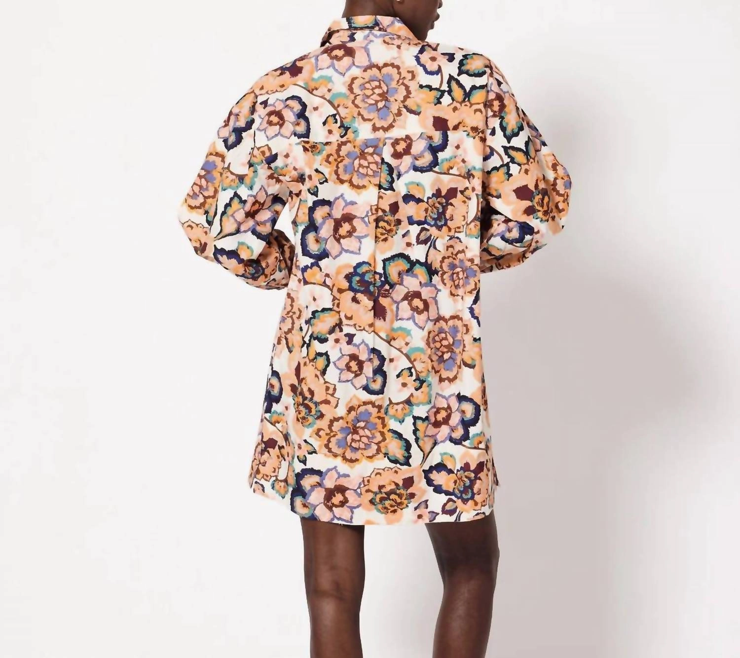 Elisha Mini Dress In Desert Floral