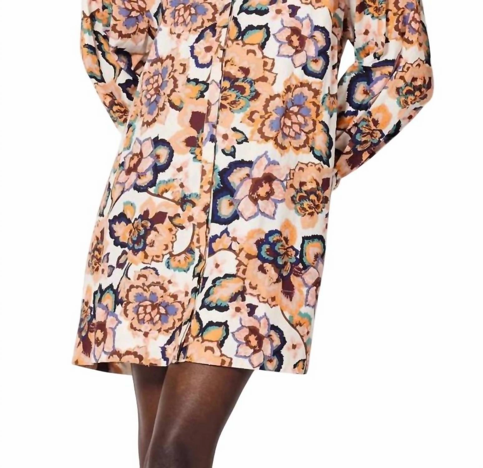 Elisha Mini Dress In Desert Floral