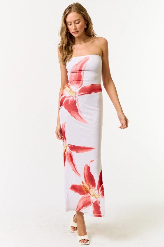 Hanalei Mesh Tube Floral Maxi Dress