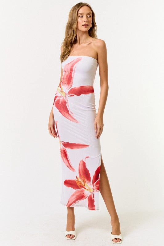 Hanalei Mesh Tube Floral Maxi Dress