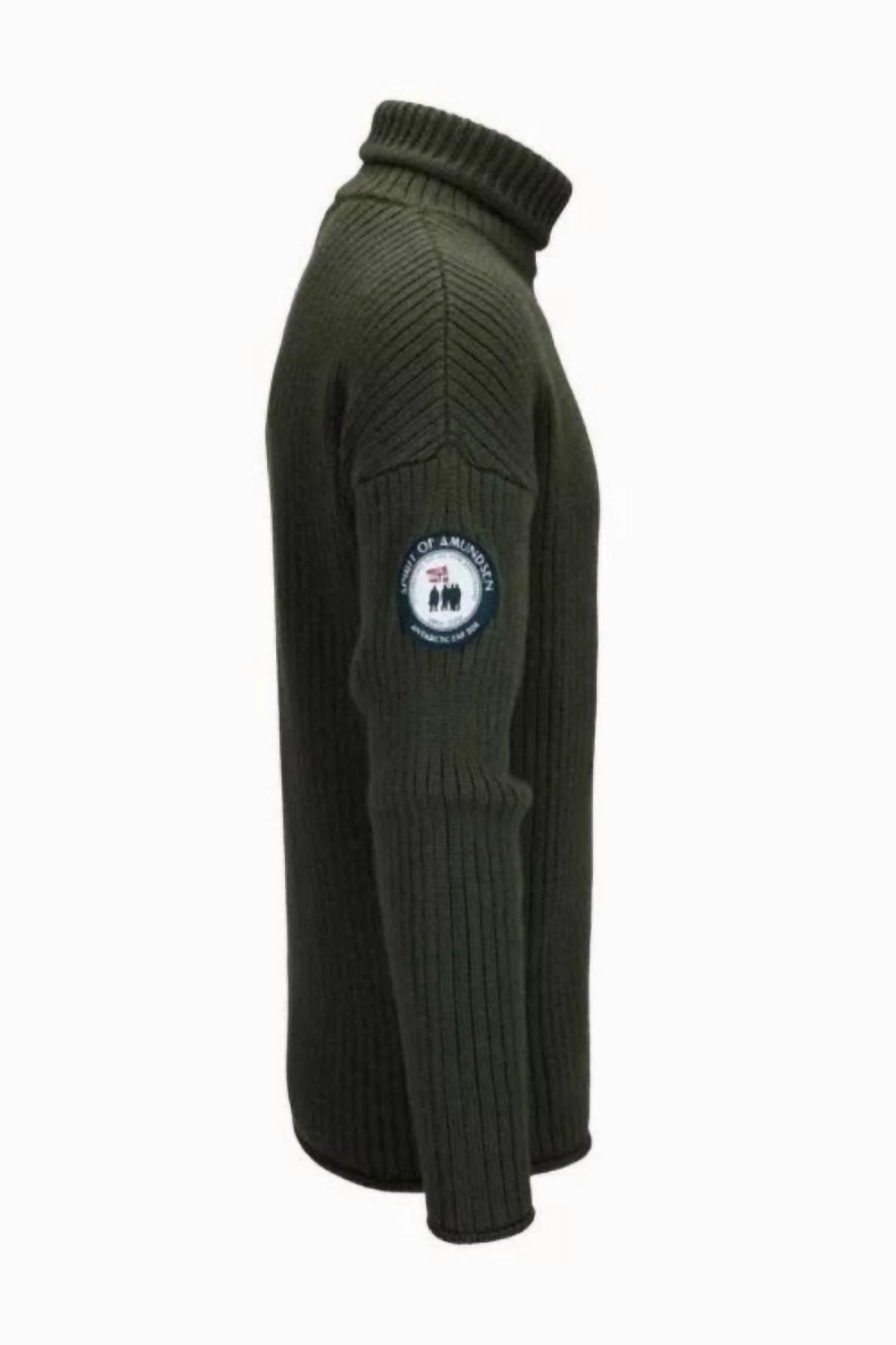 Men's Heroes Original Turtleneck In Earth