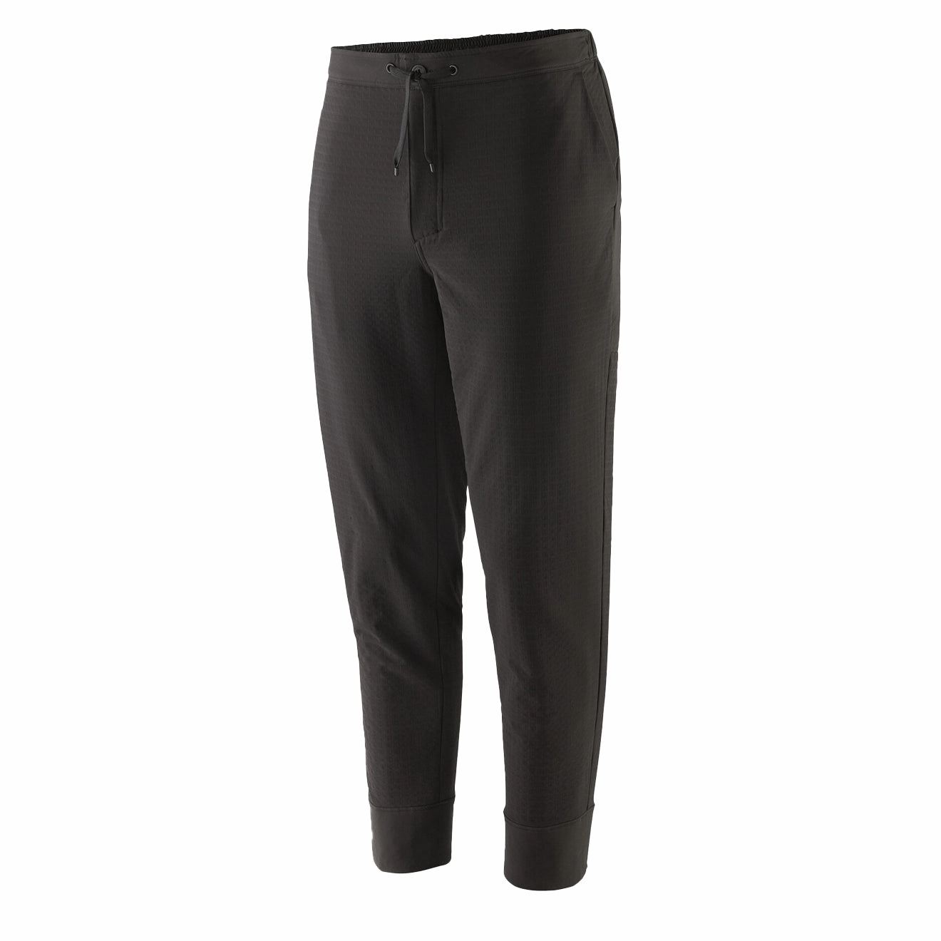 Patagonia R2 TechFace Fleece-lined Pants Black mens joggers promo code