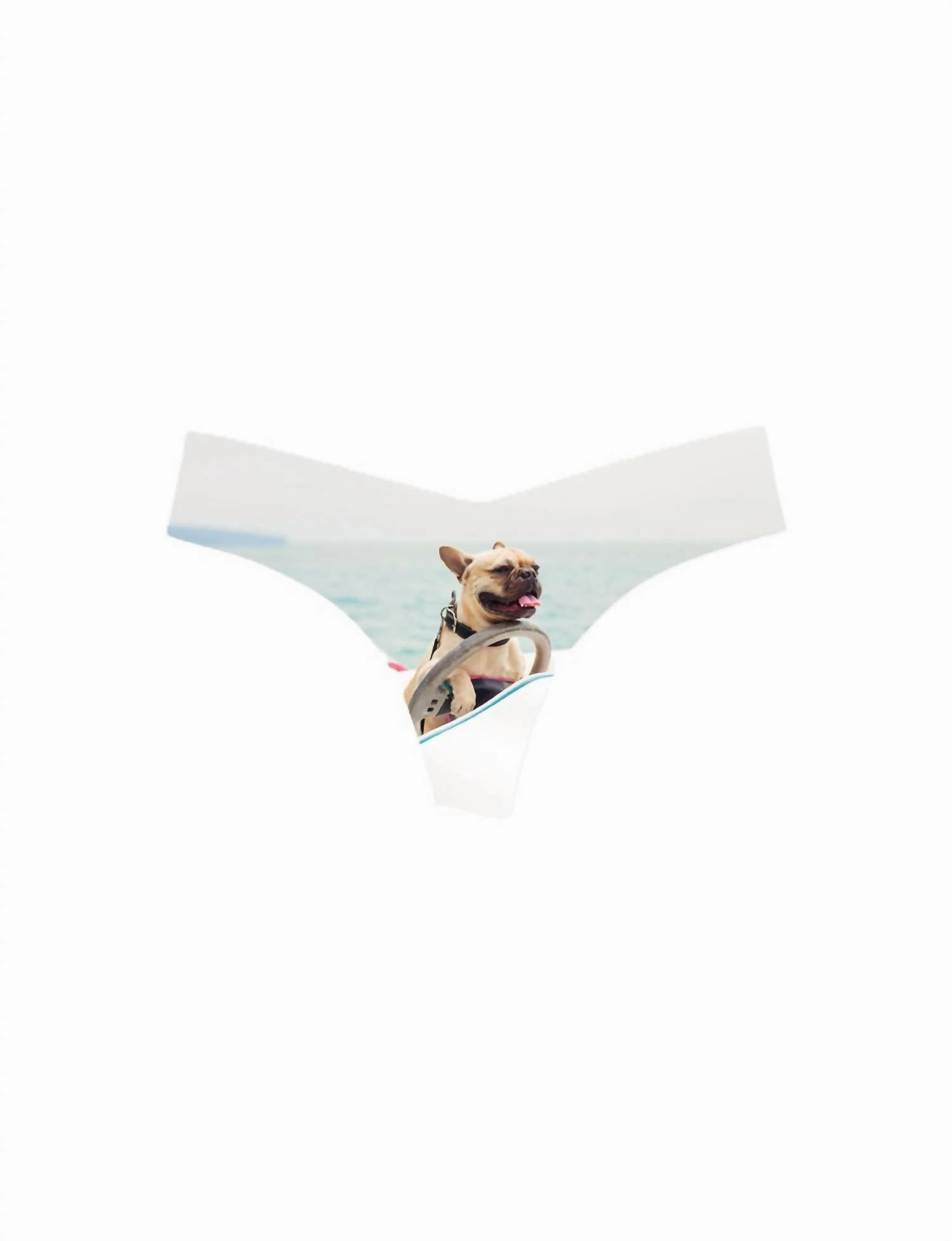 Women's Photo-Op Thong Panty In Frenchie
