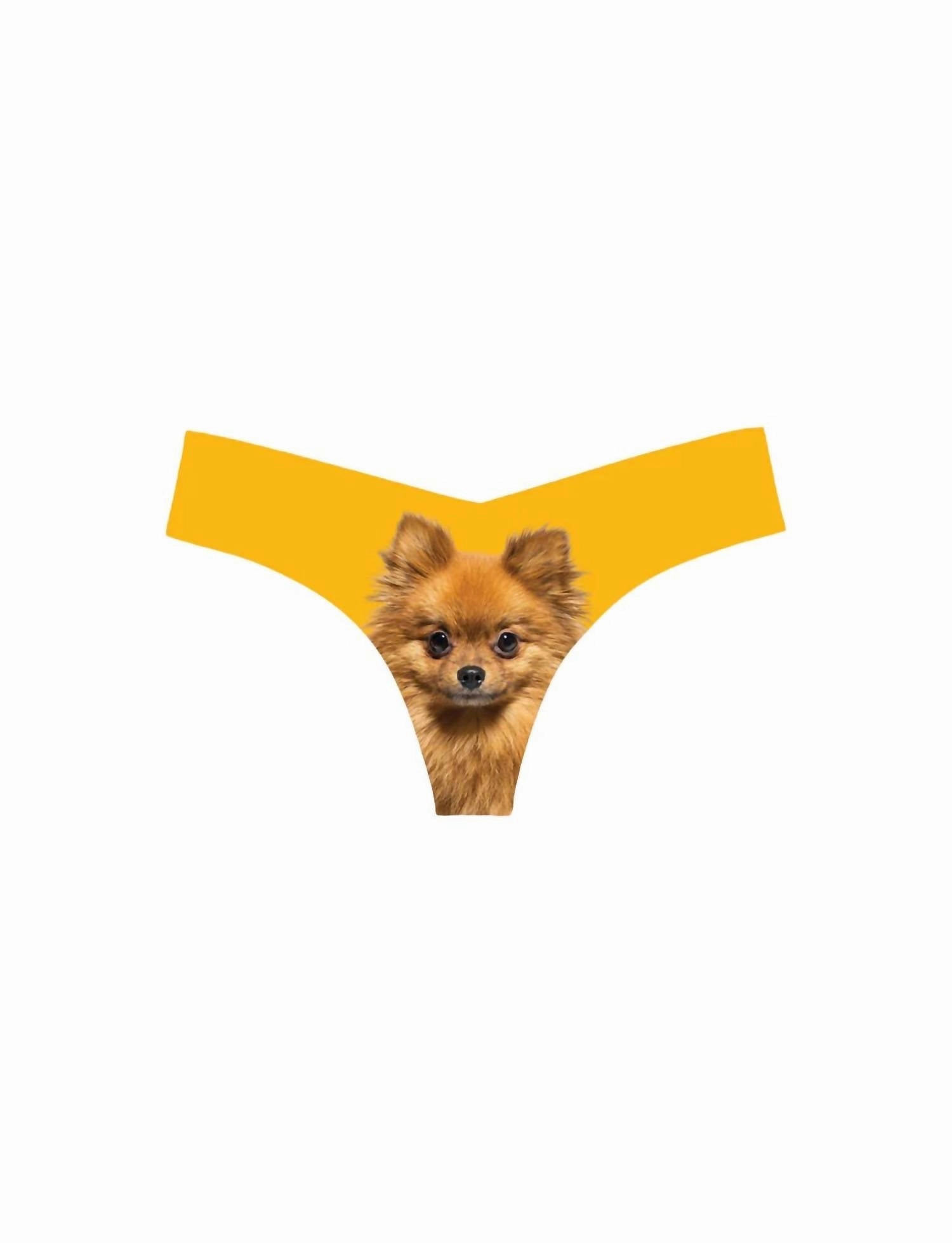 Women's Photo-Op Thong Panty In Pomeranian